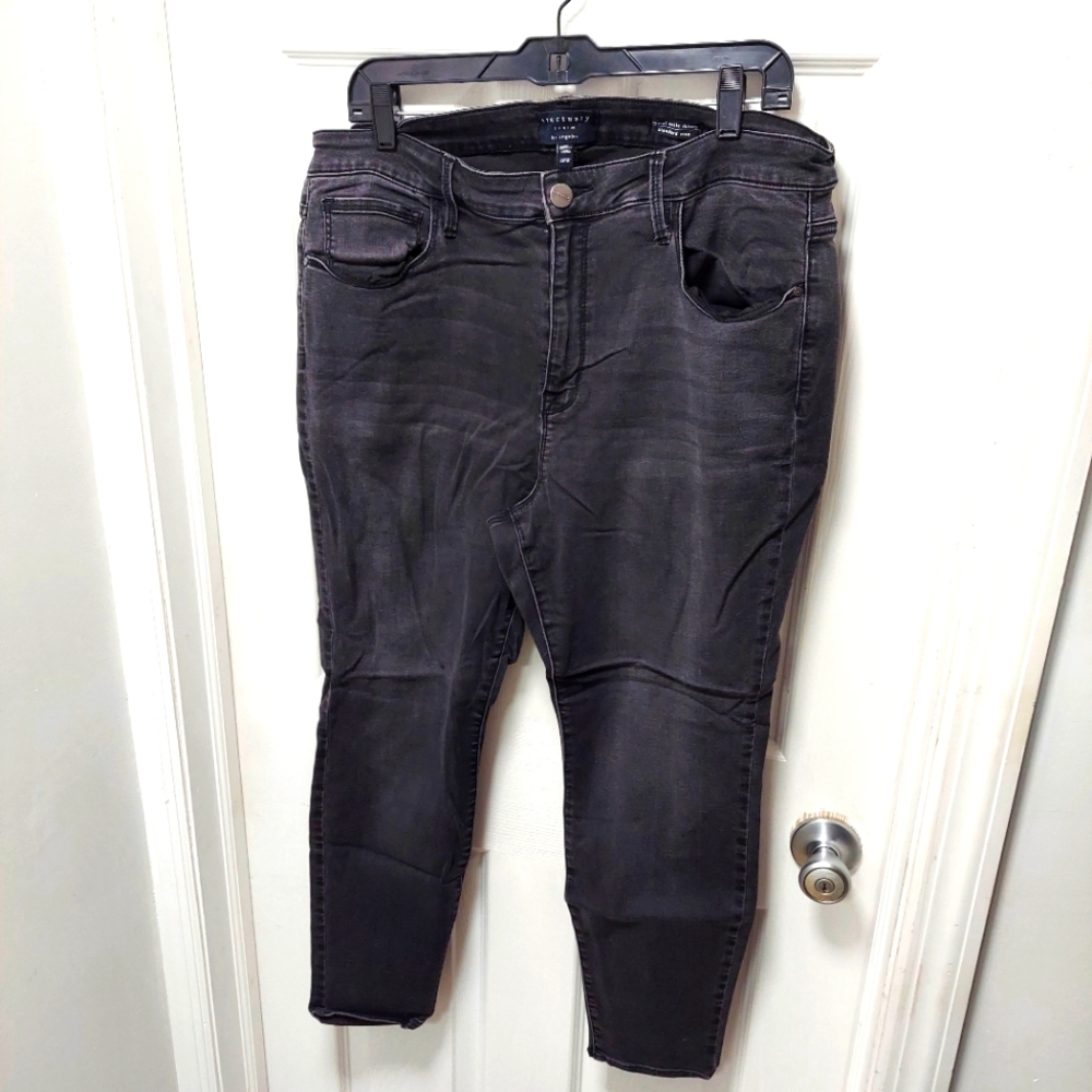Sanctuary Social Ankle Skinny - Standard Rise Plus Size Jeans - 18W